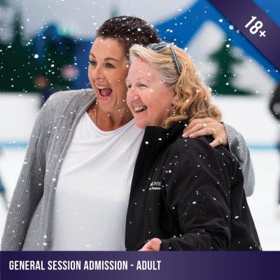 Adult admission to a general ice skating session