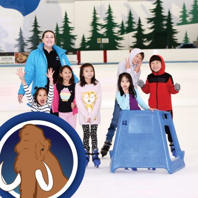 Mammoth Birthday Party Package $30 per child