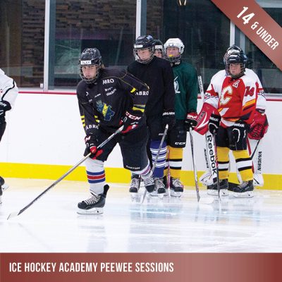 Ice hockey training for Peewees - children under 14