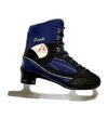 platinum skate rental