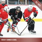 Product image for Ice hockey summer school program in January 2022